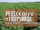 种植基地五