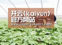 种植基地三