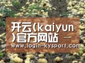 种植基地七