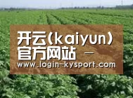 种植基地五(图1)