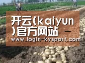 种植基地七(图1)