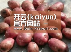 产品展示标题5