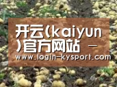 种植基地八(图1)