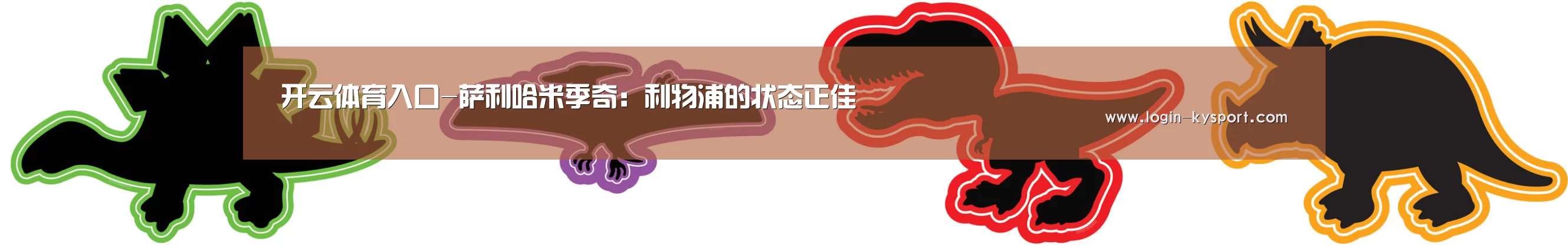 开云体育入口-萨利哈米季奇:利物浦的状态正佳(图4) 开云体育入口