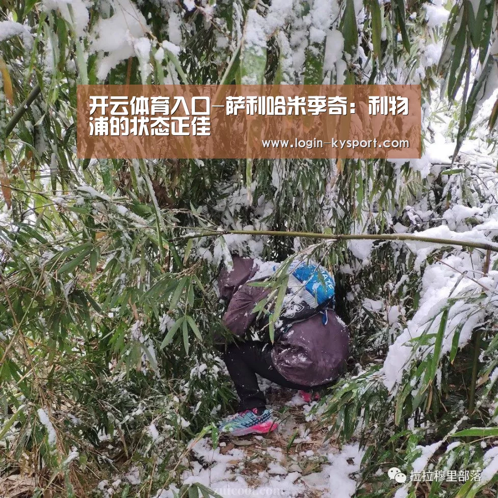 开云体育入口-萨利哈米季奇:利物浦的状态正佳(图2) 开云入口